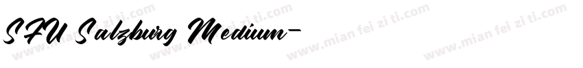 SFU Salzburg Medium字体转换